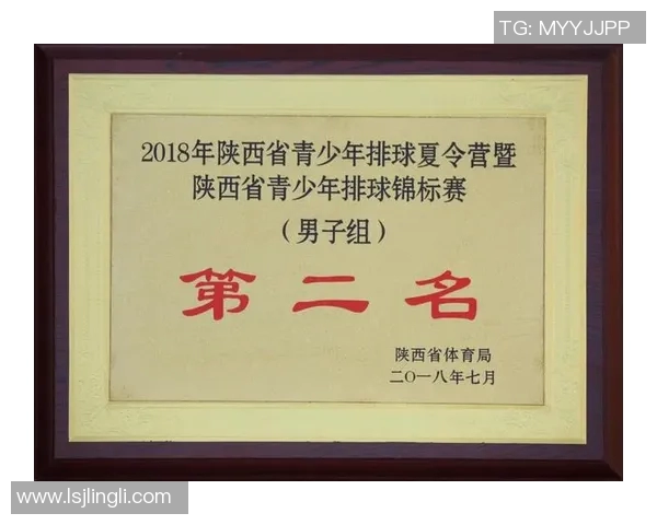 西安排球队的运营得失分析与未来发展策略探讨